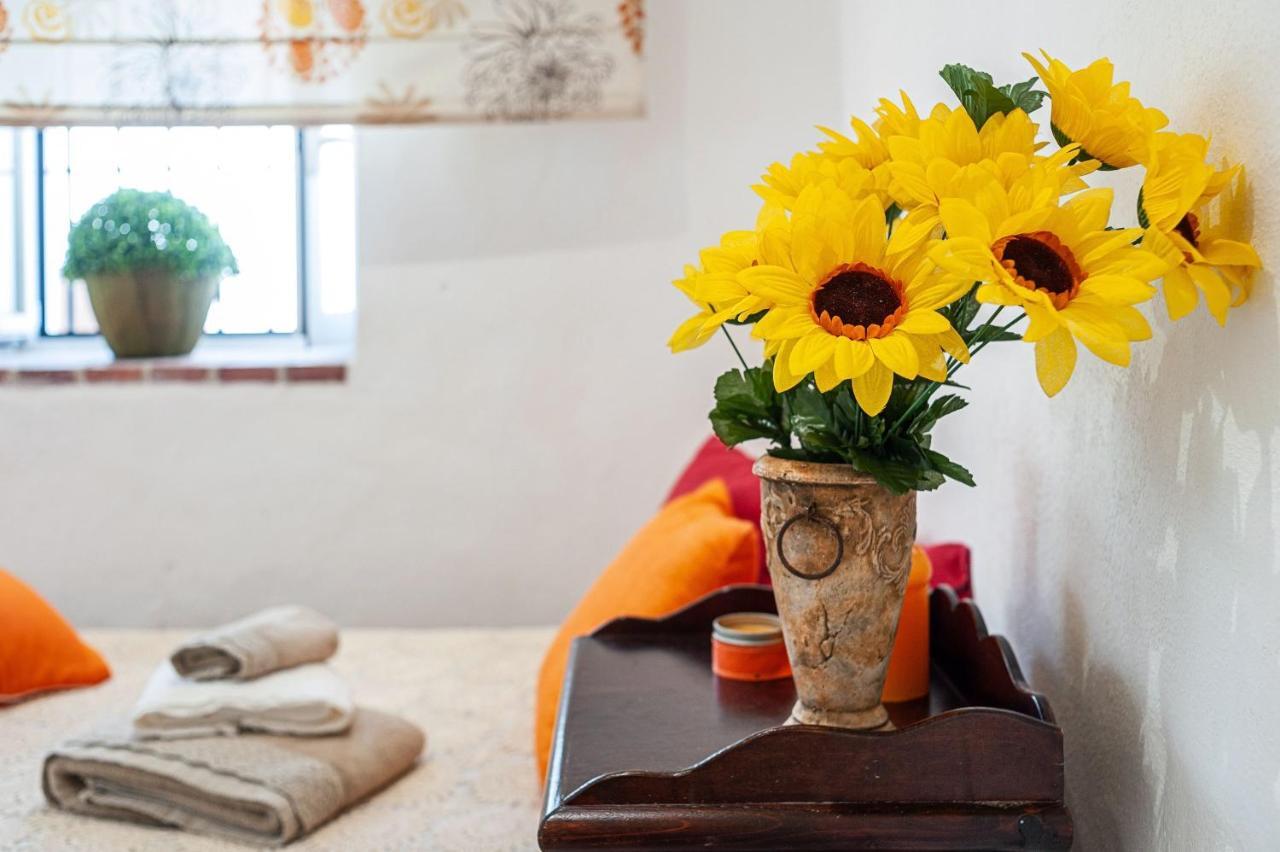 Apartamento Los Girasoles Vejer de la Frontera Dış mekan fotoğraf